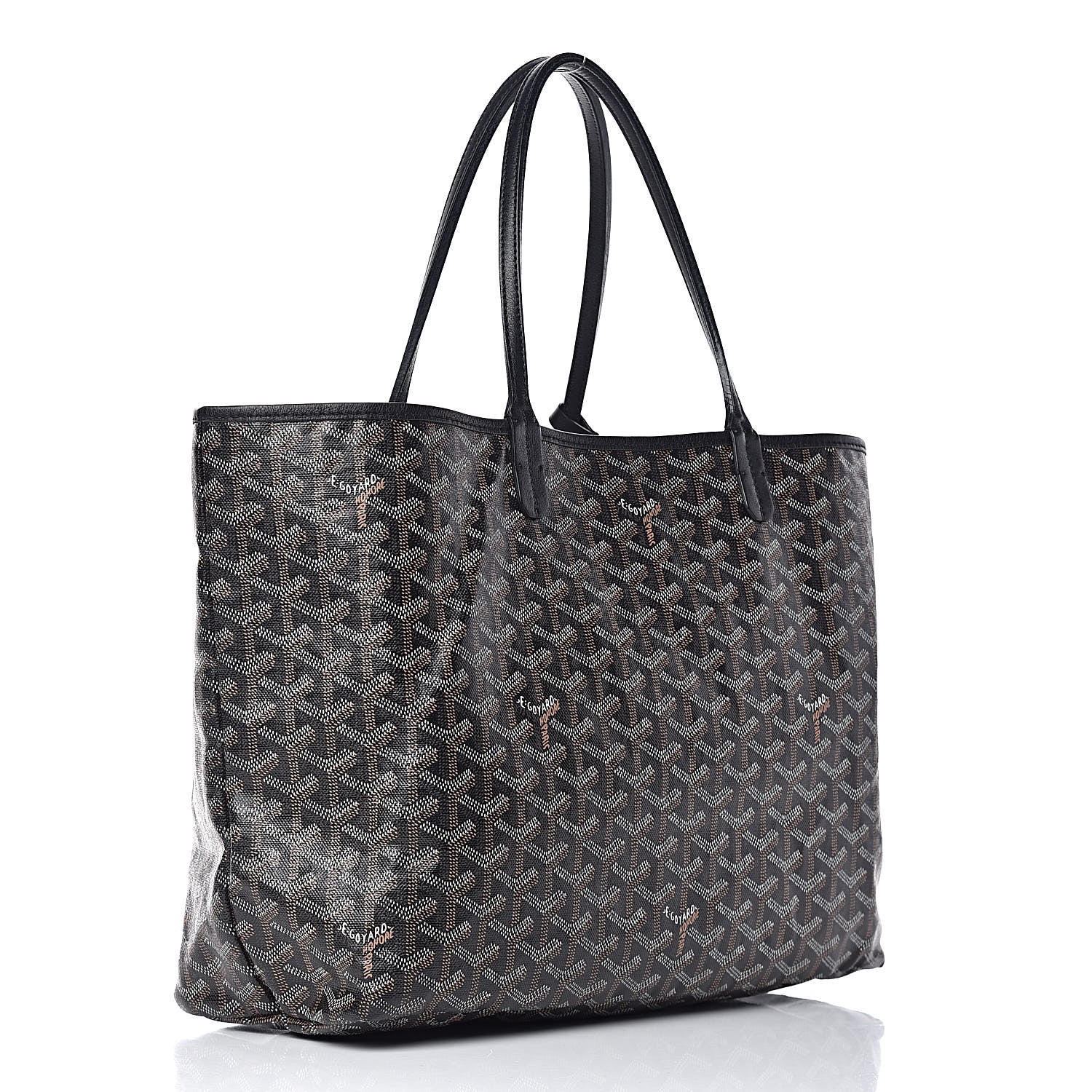 Goyard Goyardine Saint Louis PM Black 4 of 20