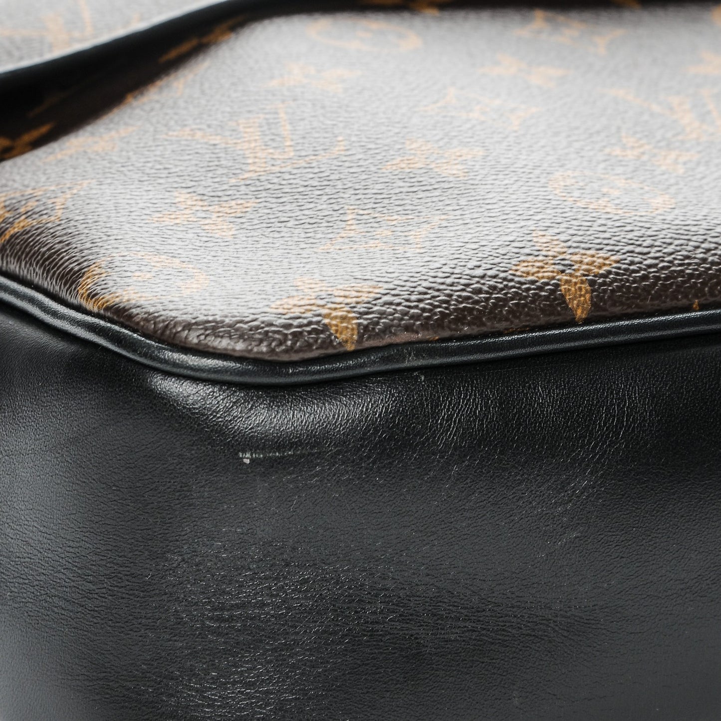 Monogram Macassar Bass GM