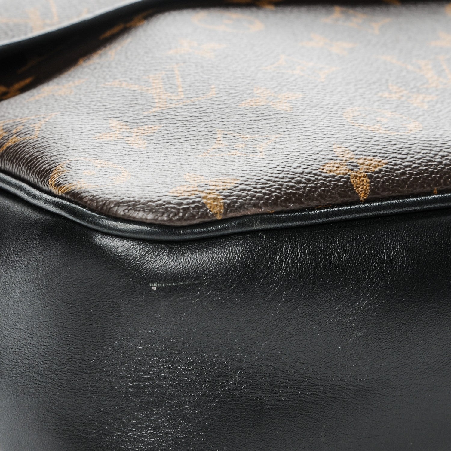 Louis Vuitton Monogram Macassar Bass GM 8 of 8