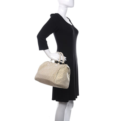 Louis Vuitton Mini Lin Speedy 30 Dune 2 of 21