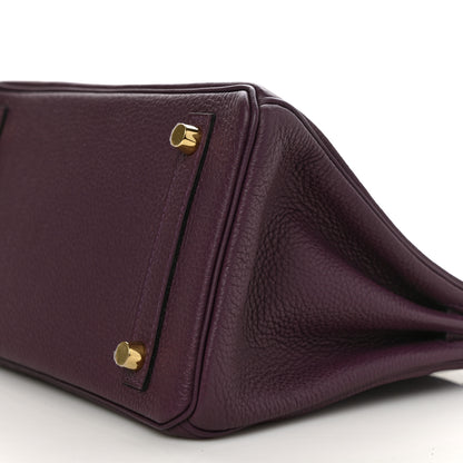 Hermes Togo Birkin 25 Cassis 8 of 8