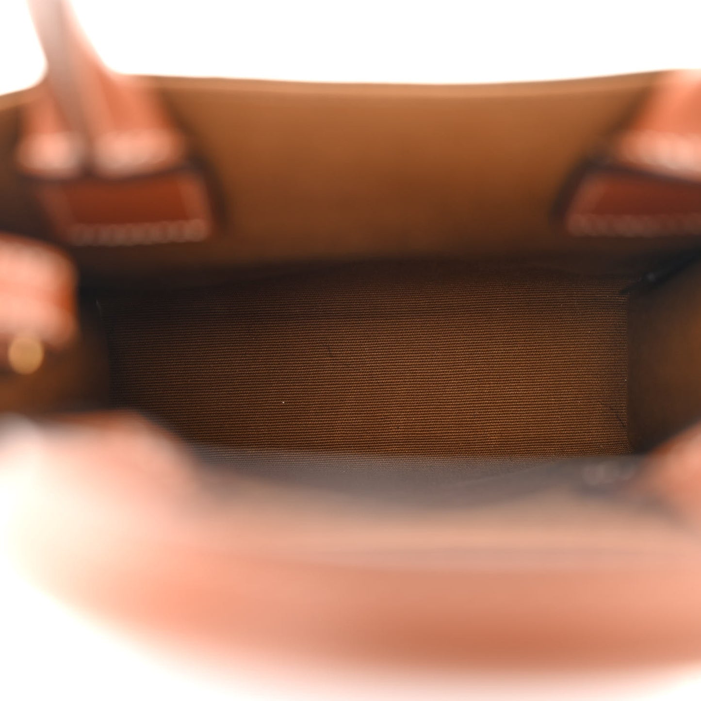 Triomphe Canvas Calfskin Mini Vertical Cabas Tan