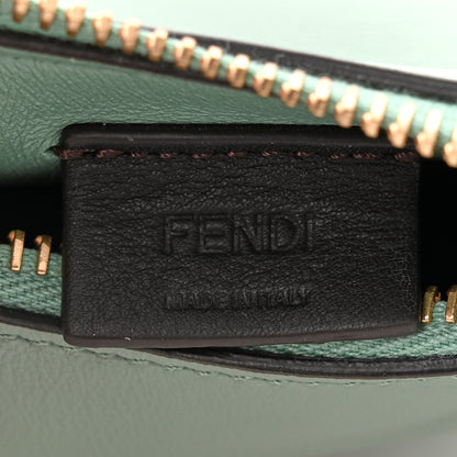 Fendi Vitello Grace New Matte Nano Fendigraphy Hobo Charm Menta 6 of 10