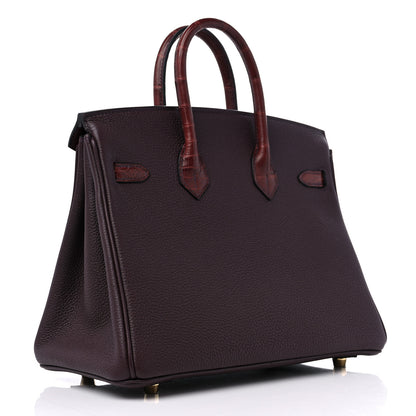 Hermes Togo Matte Alligator Birkin Touch 25 Rouge Sellier Bourgogne 3 of 10