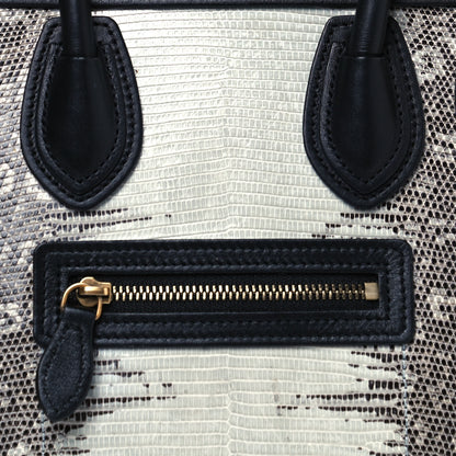 Celine Lizard Smooth Calfskin Nano Tri-Color Luggage Mineral 8 of 13