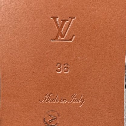 Louis Vuitton Monogram Sunny Flat Thong Sandals 36 Brown 7 of 10