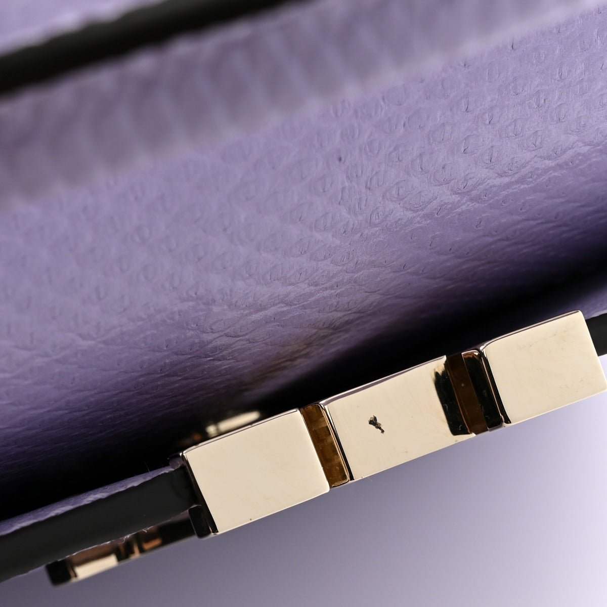 Louis Vuitton Karung Mini Capucines Lilas 11 of 11