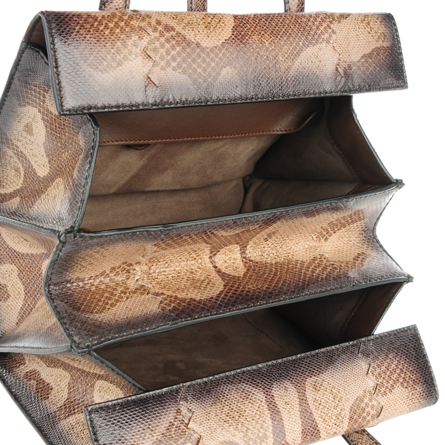 Bottega Veneta Watersnake Accordion Satchel 5 of 9