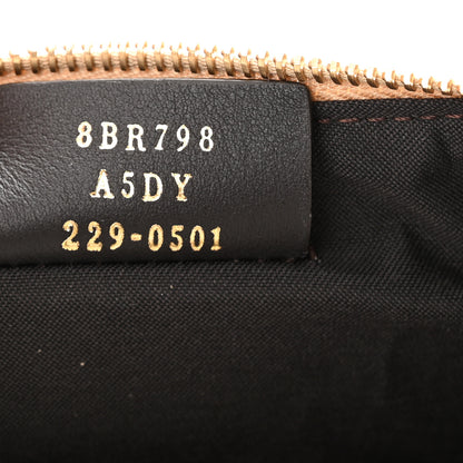 Fendi Vitello Grace Matte Small Fendigraphy Hobo Bag Nuvola 7 of 10