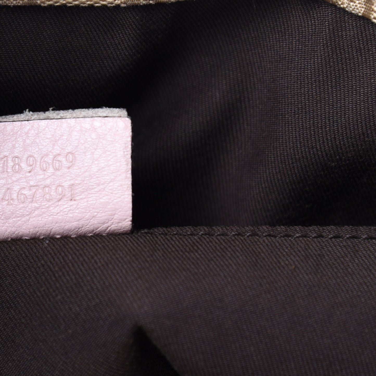 GG Monogram Medium Web Handle Vertical Tote Pink Blue