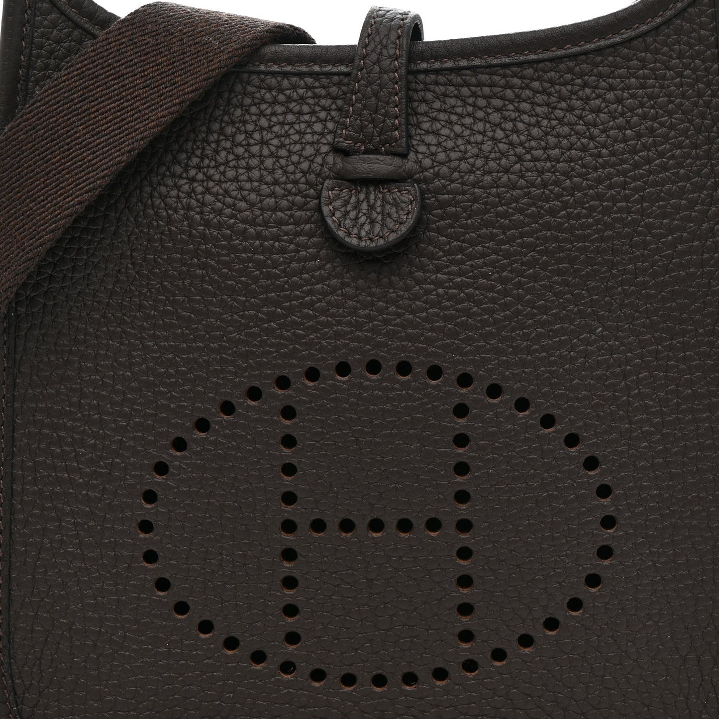 Taurillon Clemence Evelyne TPM Chocolate