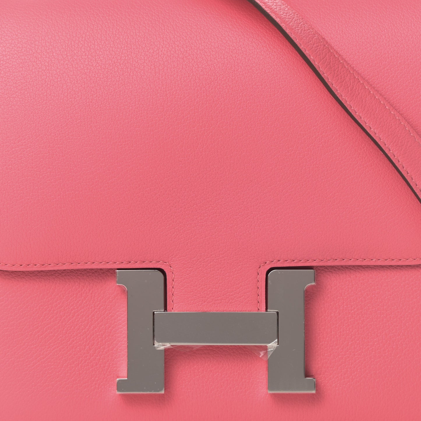Evercolor Constance 24 Rose Azalee
