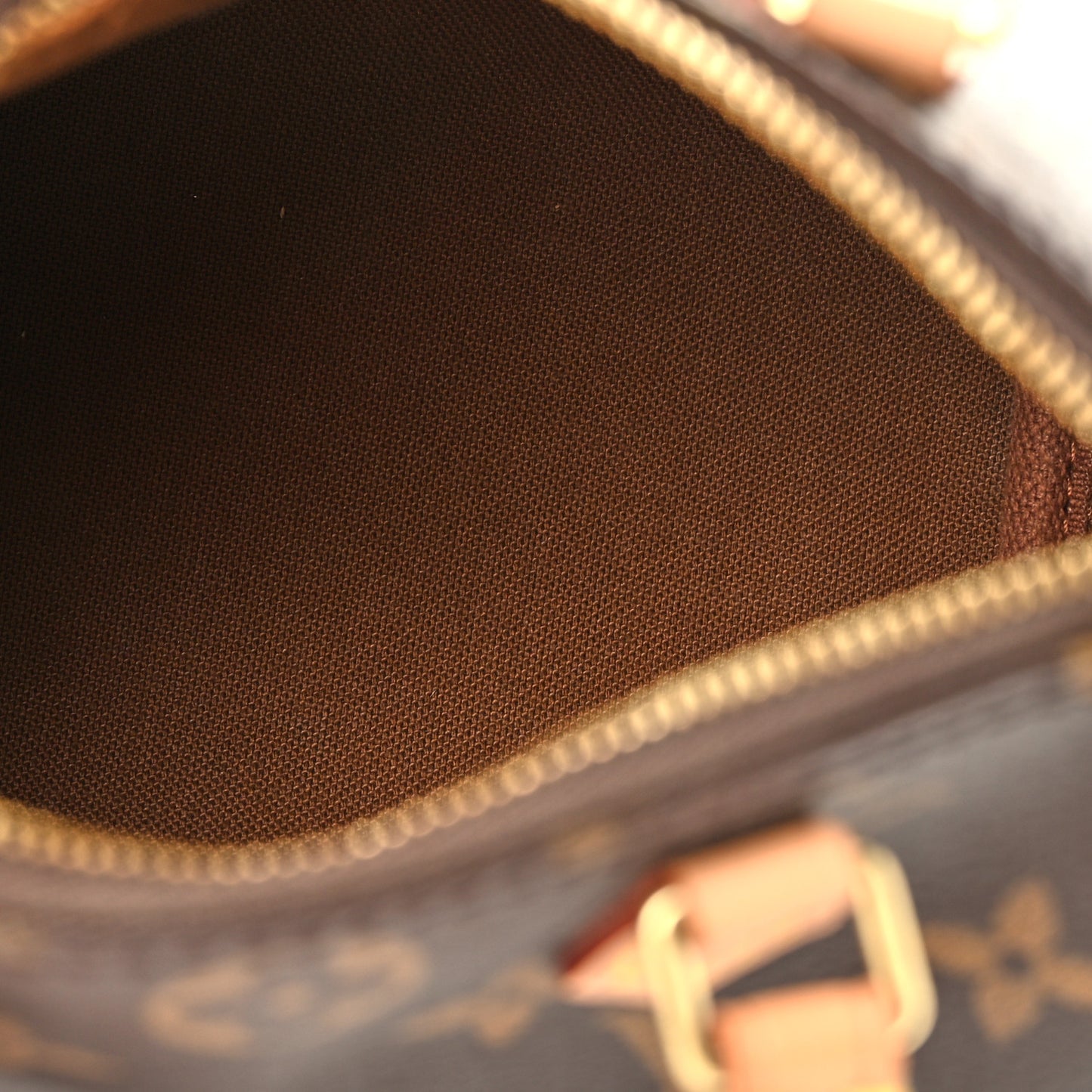 Monogram Nano Speedy