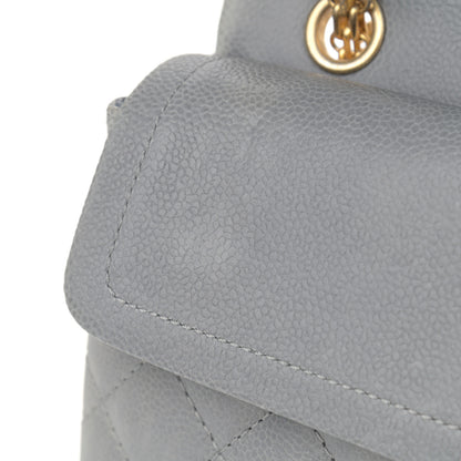Chanel Caviar Quilted 2.55 Reissue 226 Flap Light Grey 11 of 13