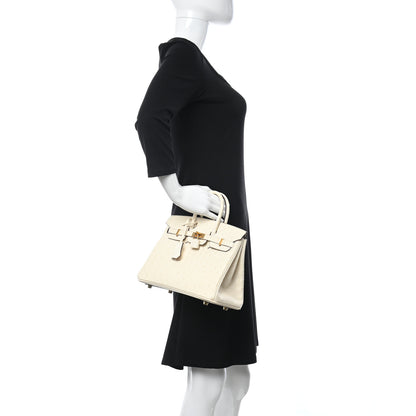 Hermes Ostrich Birkin 25 Nata 2 of 11