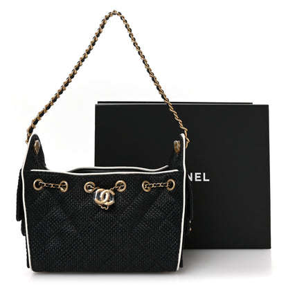 Chanel Braided Raffia Calfskin Quilted Mini Chanel 25 Handbag Black White 11 of 11