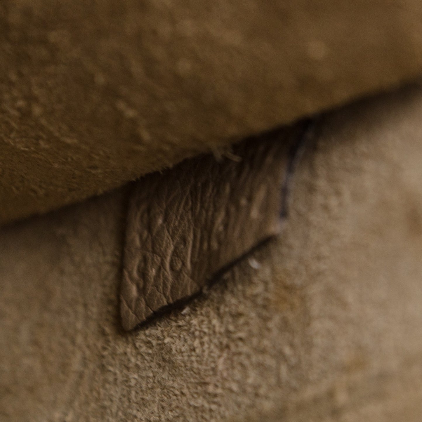 Drummed Calfskin Nano Luggage Dune