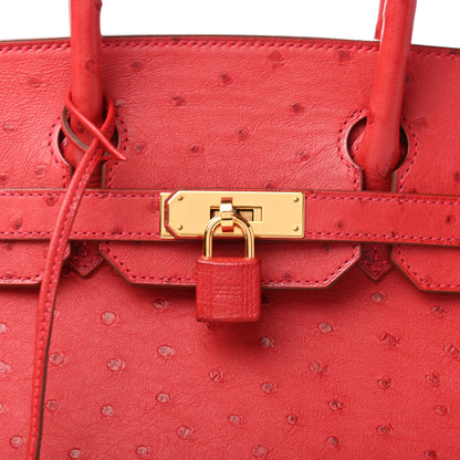 Hermes Ostrich Birkin 30 Rouge Vif 10 of 10