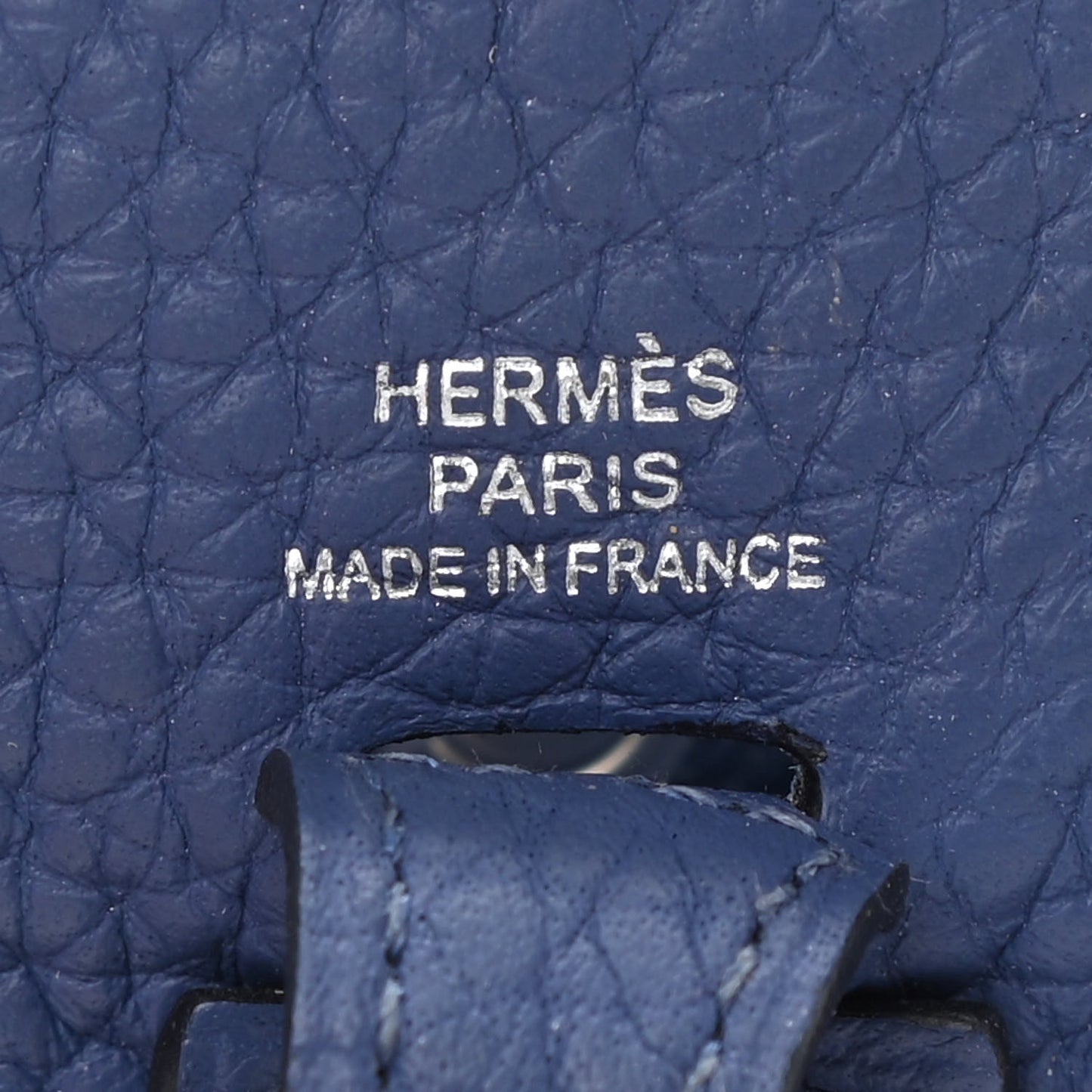 Taurillon Clemence Evelyne TPM Bleu Brighton