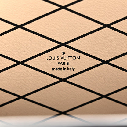 Louis Vuitton Epi Petite Malle Silver 6 of 11