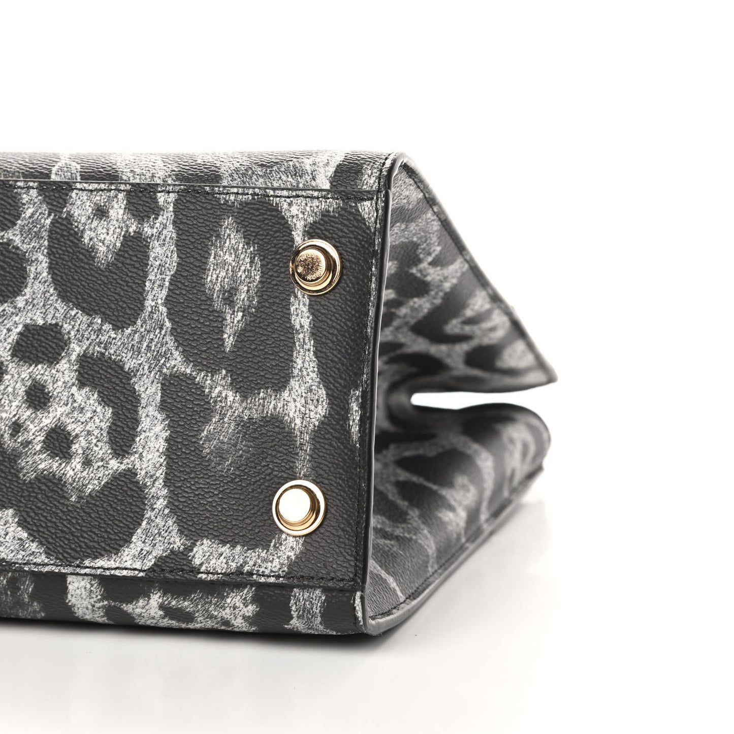 Canvas Calfskin Wild Animal Print City Steamer MM Black