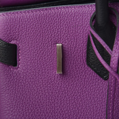 Hermes Togo Bi-Color Horseshoe Birkin 30 Anemone Black 28 of 34
