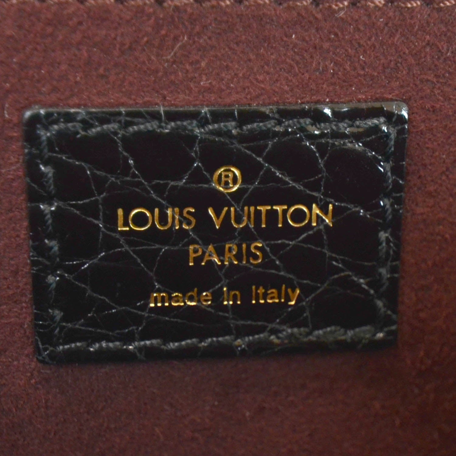 Louis Vuitton Alligator Vienna Sac Fermoir PM Black 8 of 9