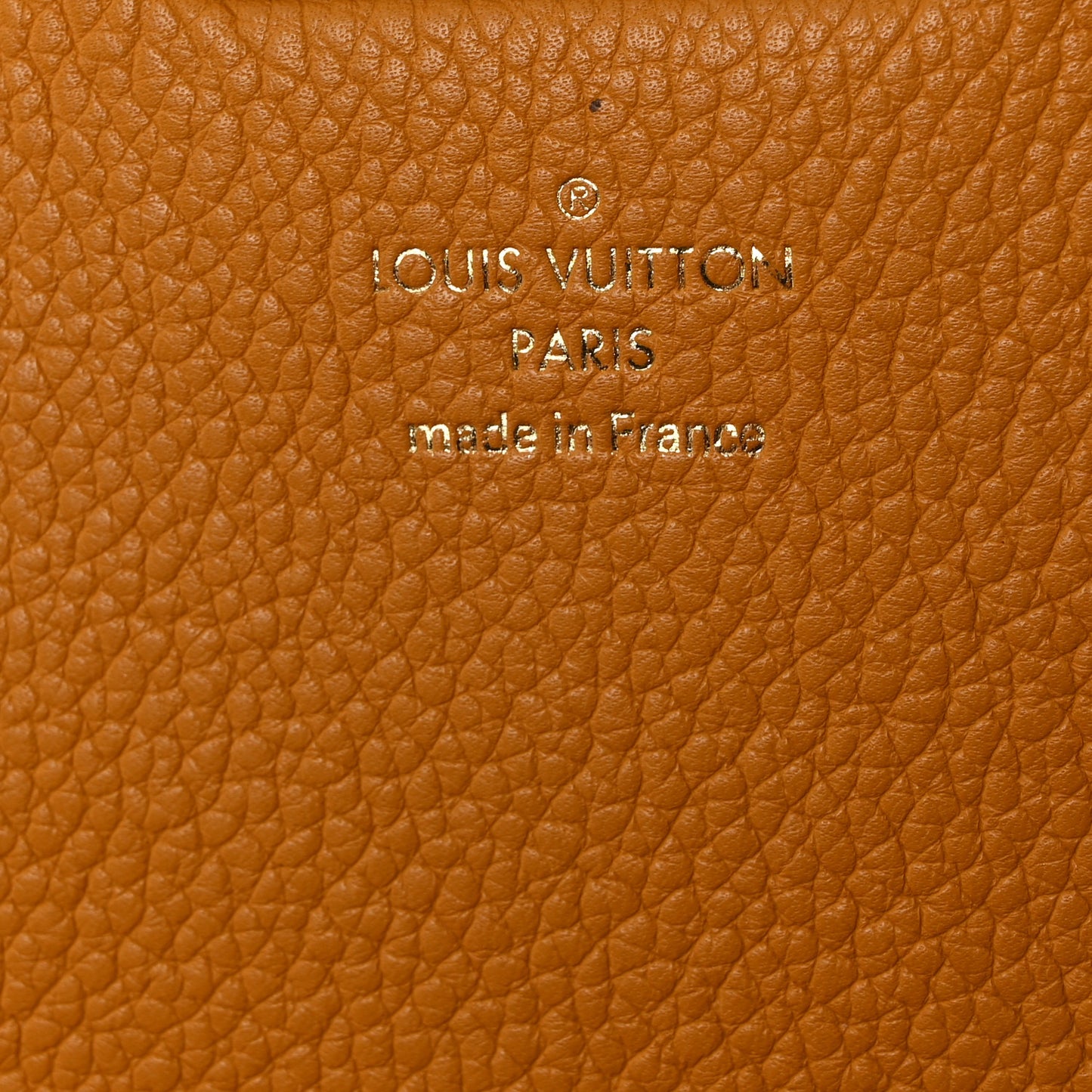 Monogram Eden PM Safran