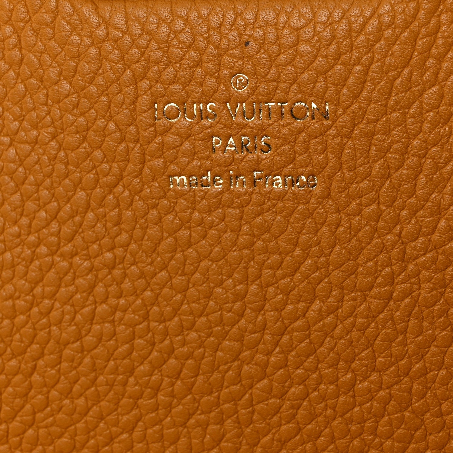 Louis Vuitton Monogram Eden PM Safran 7 of 11