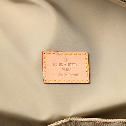 Louis Vuitton Damier Geant Souverain Terre 5 of 8