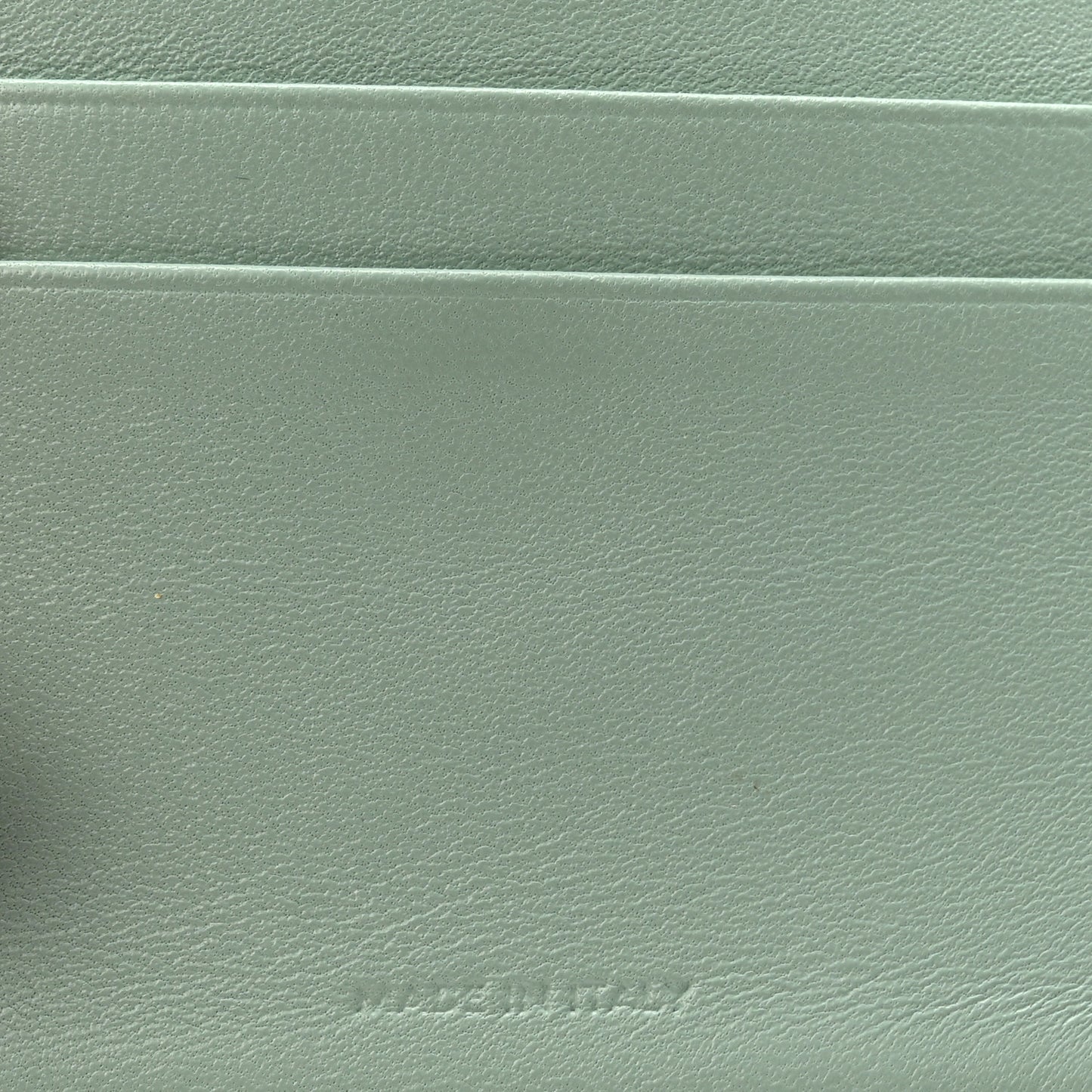 Lizard Small Triomphe Wallet Pastel Green