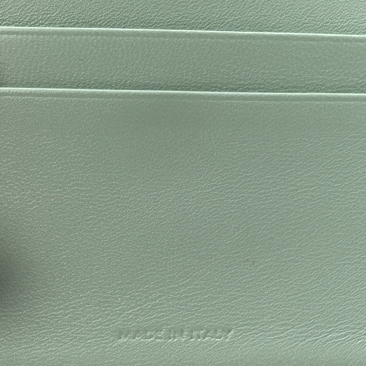 Celine Lizard Small Triomphe Wallet Pastel Green 7 of 7