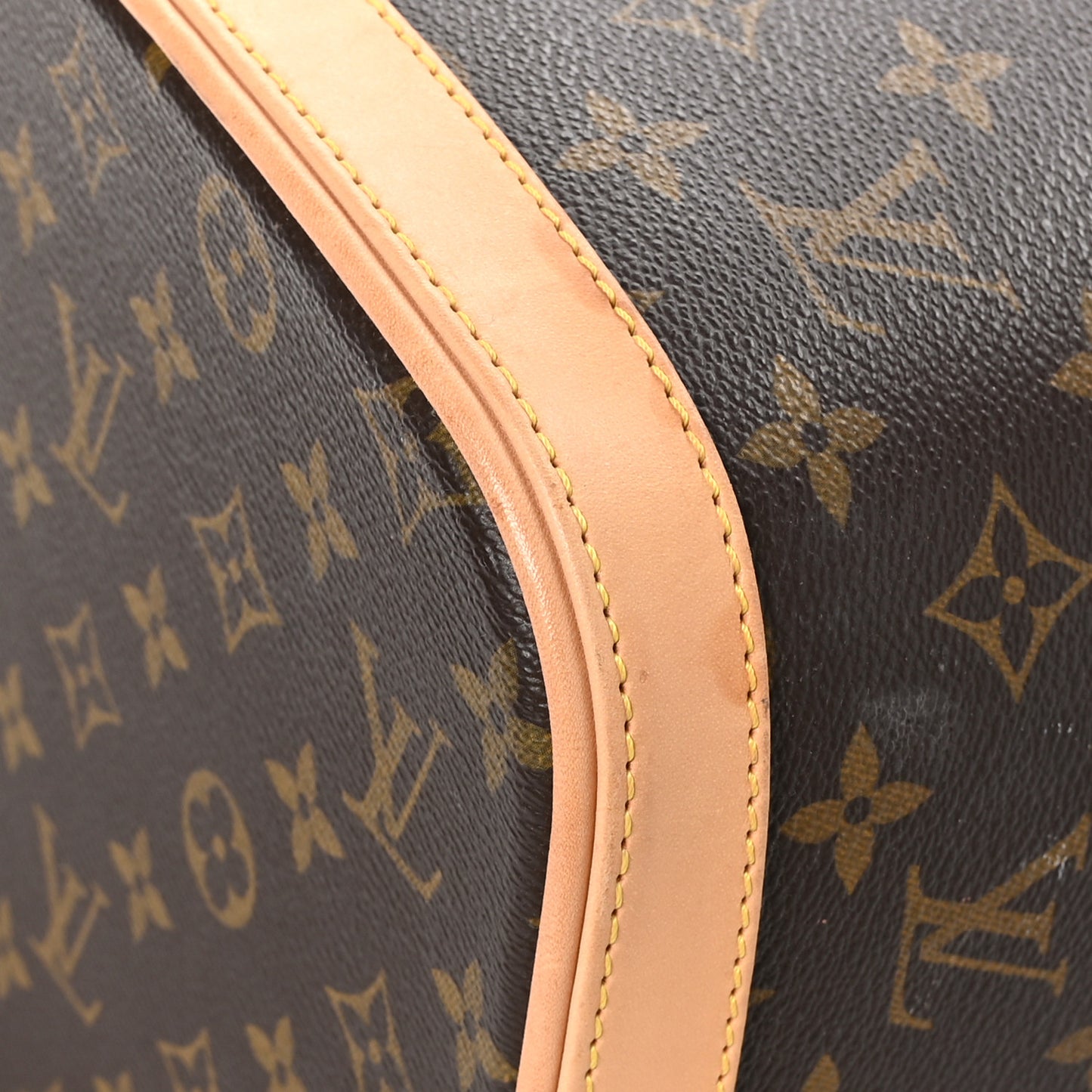 LOUIS VUITTON Monogram Nice