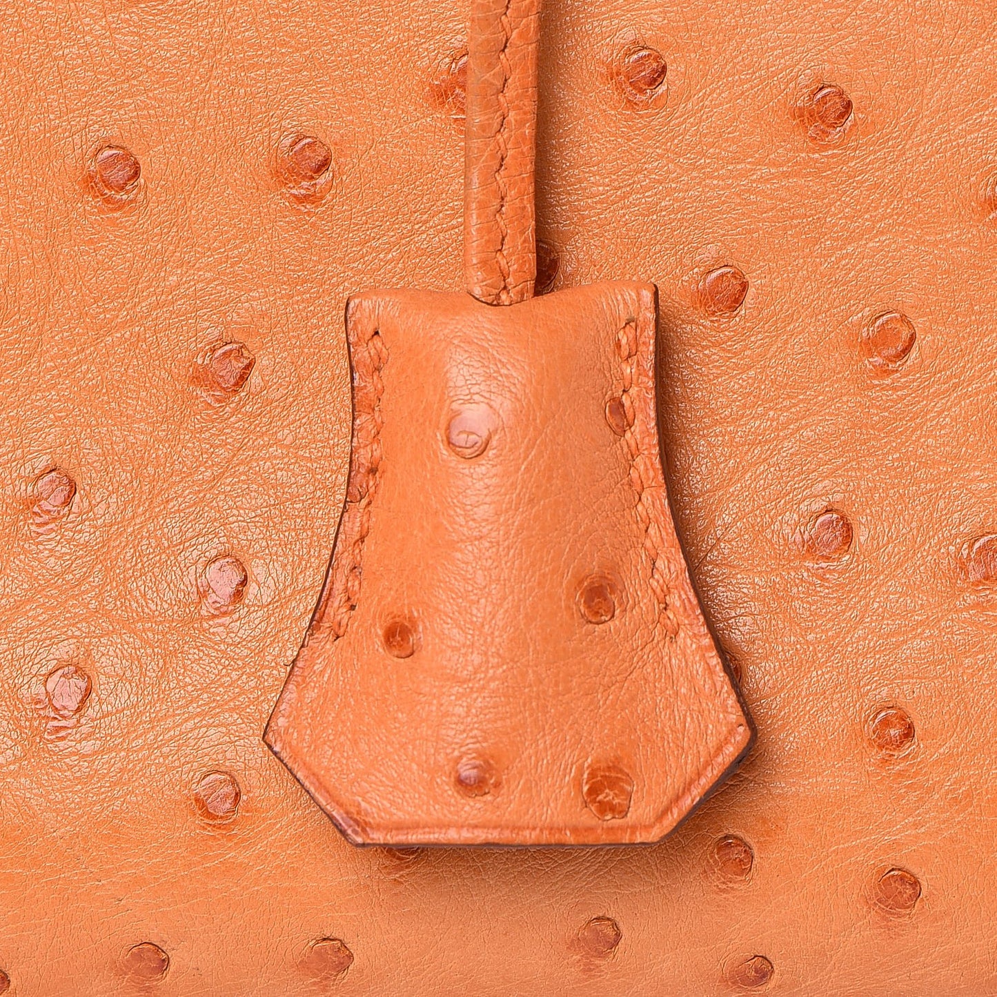 Ostrich Birkin 35 Orange