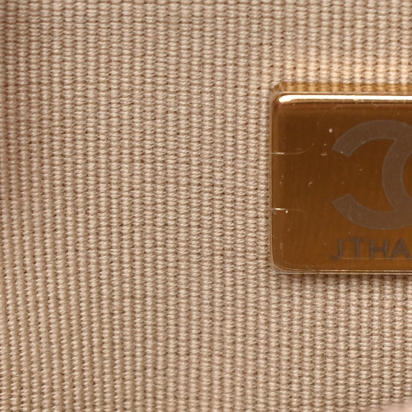 Metallic Goatskin Quilted Chanel 19 Wallet On Chain WOC Gold