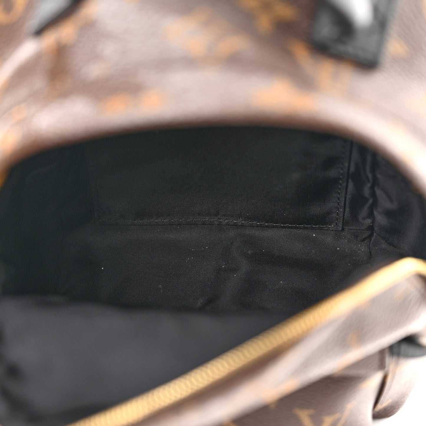 Monogram Palm Springs Backpack Mini