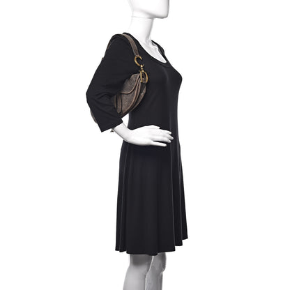 Christian Dior Distressed Calfskin Mini Saddle Bag Brown 2 of 9