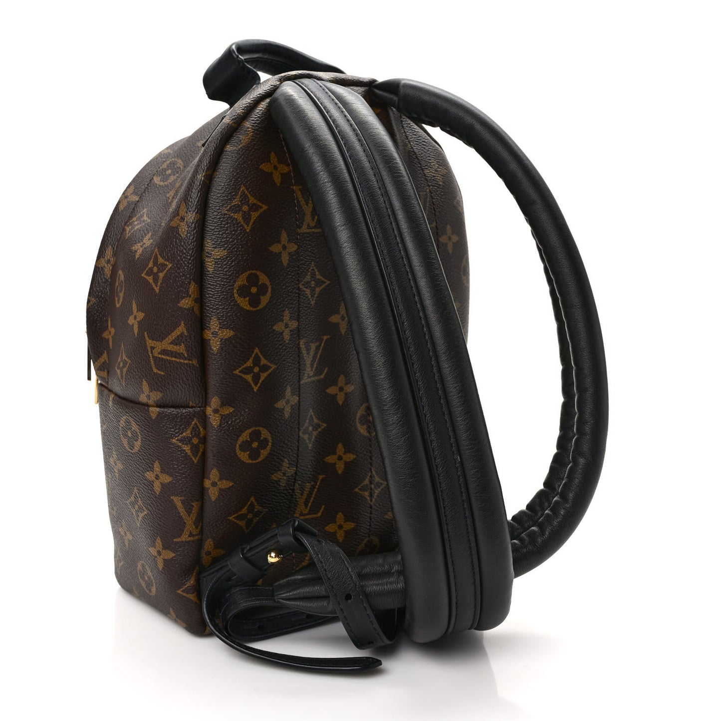 Monogram Palm Springs Backpack PM