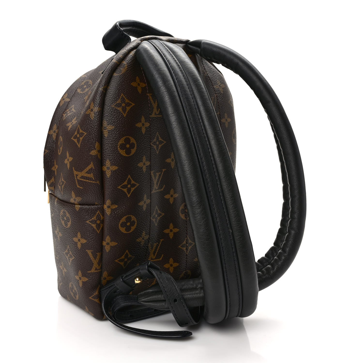 Louis Vuitton Monogram Palm Springs Backpack PM 2 of 8