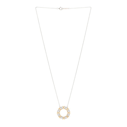 Tiffany 18K Yellow Gold Platinum Diamond Schlumberger Sixteen Stone Circle Pendant Necklace 3 of 5