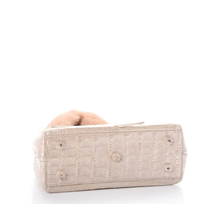 Nancy Gonzalez Crocodile Mink Chain Satchel Beige 4 of 11