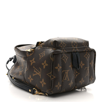 Louis Vuitton Monogram Palm Springs Backpack Mini 4 of 14