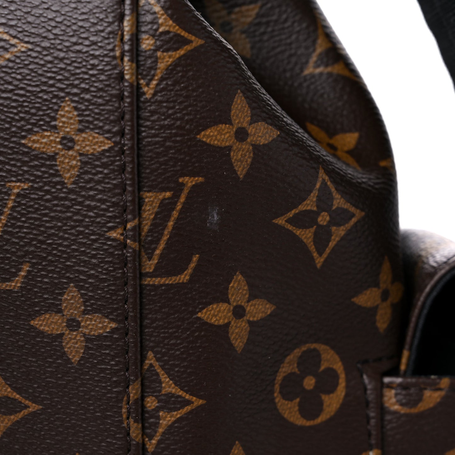 Monogram Macassar Christopher PM Backpack