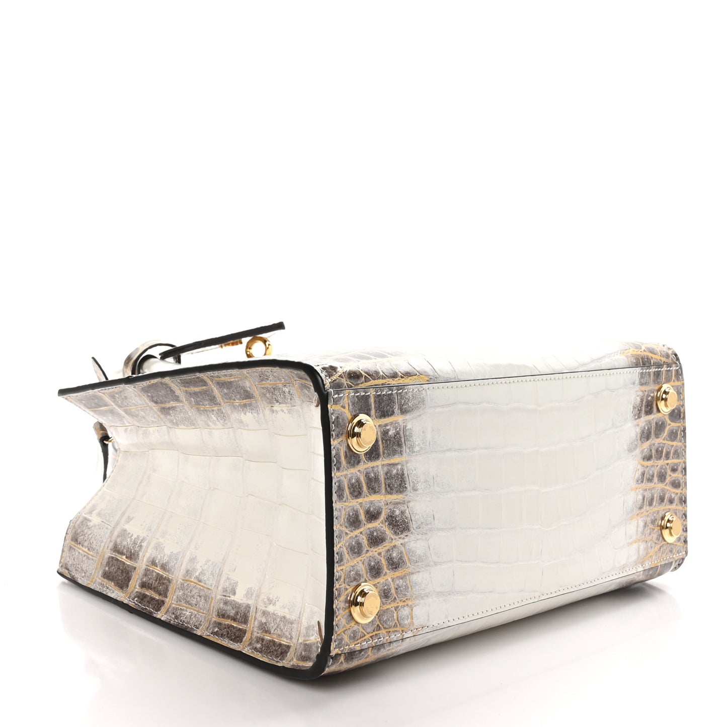 LOUIS VUITTON Himalaya Crocodile City Steamer PM
