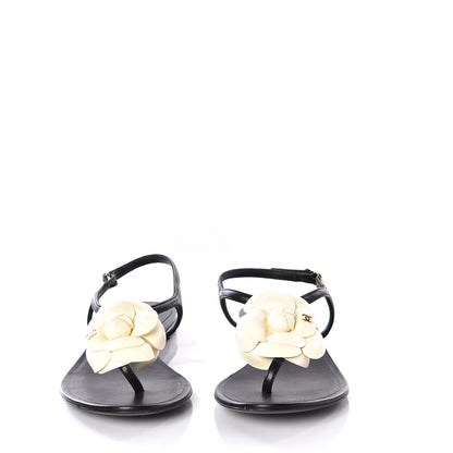 Chanel Lambskin Camellia Thong Sandals 35.5 Black White 3 of 11