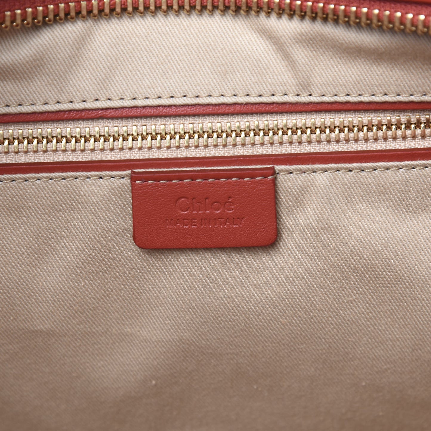 Smooth Calfskin Little Horses Embroidered Tao Zipped Tote Earthy Red