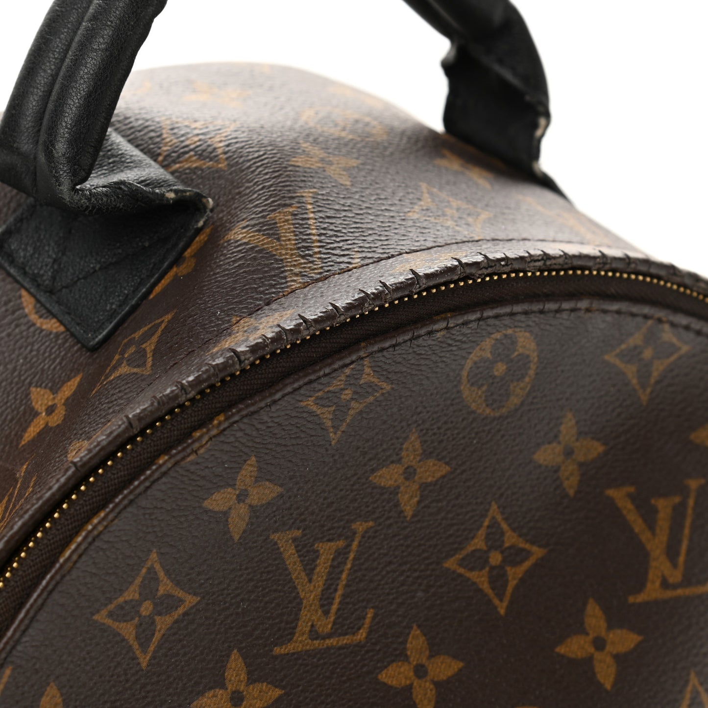 Monogram Palm Springs Backpack MM