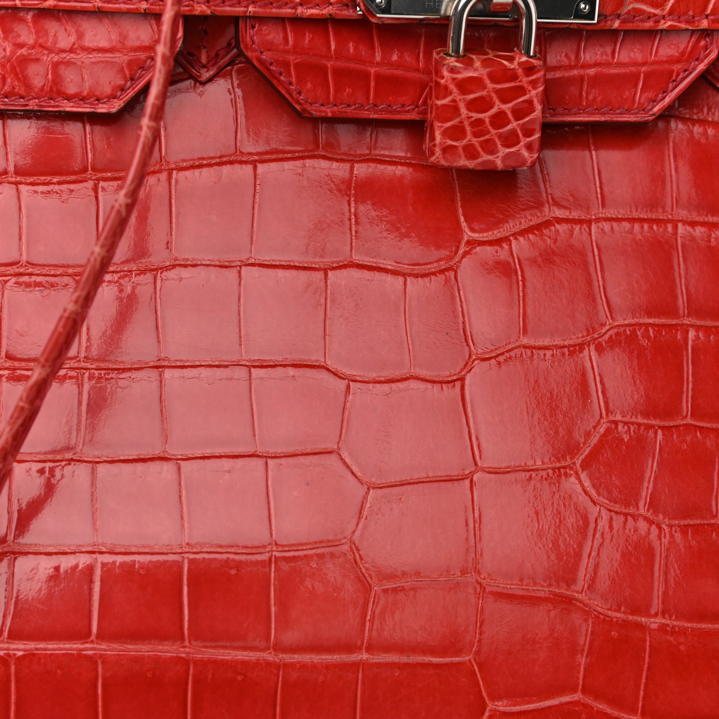 Shiny Porosus Crocodile Birkin 35 Bougainvillea