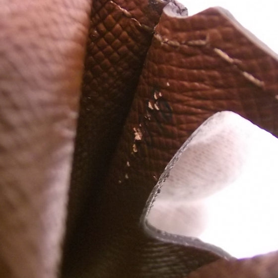 Monogram iPod Nano Case