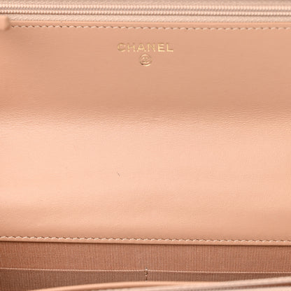 Chanel Calfskin Quilted Perfect Fit Wallet On Chain WOC Beige 5 of 11